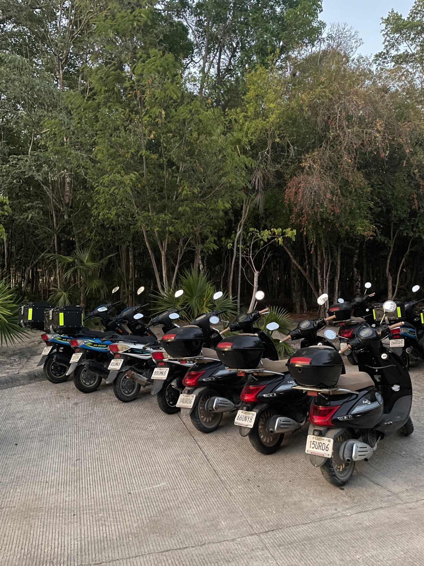 Palms & Wheels scooter fleet lined up at the Aldea Zama pickup area